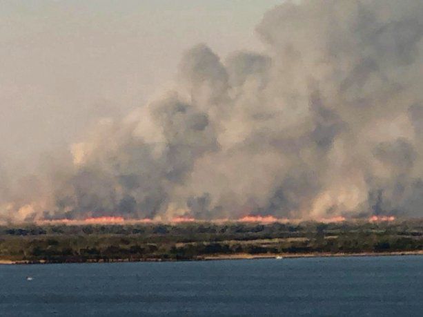 Delta del Paraná: se quemaron ya más de 5 mil hectáreas por desidia de productores