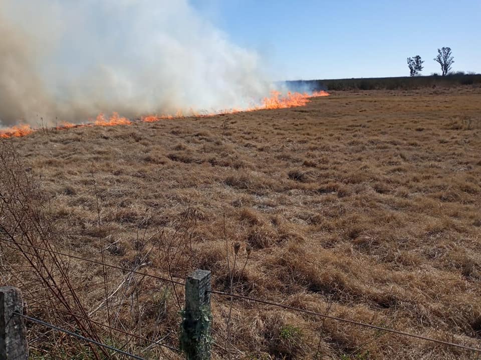 Bomberos: Intensa actividad por incendios forestales