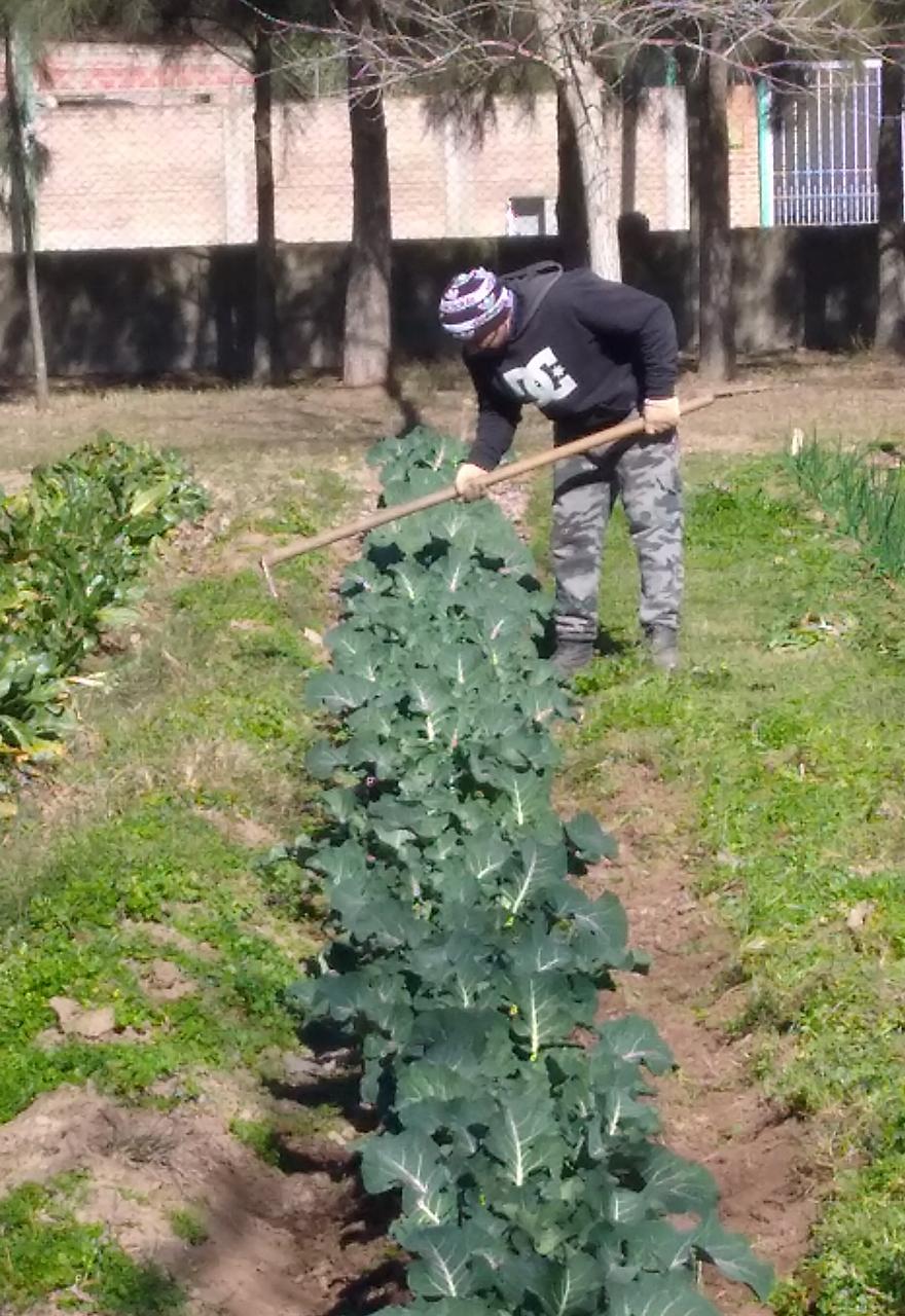 #MedioAmbiente | Siguen los trabajos en el Vivero Municipal con la plantación de hortalizas