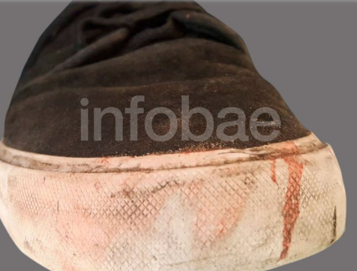 Crimen de los rugbiers: confirmaron que la zapatilla que se usó para golpear hasta la muerte a Fernando Báez Sosa corresponde a Máximo Thomsen