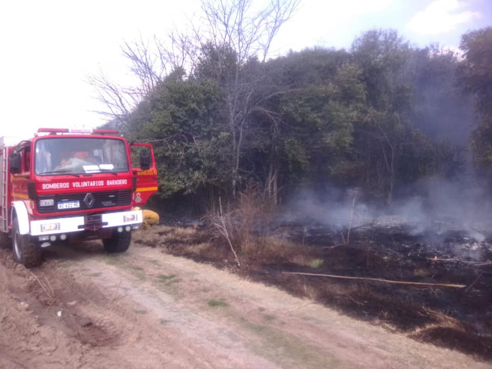 Bomberos: Incendio forestal detrás de la papelera