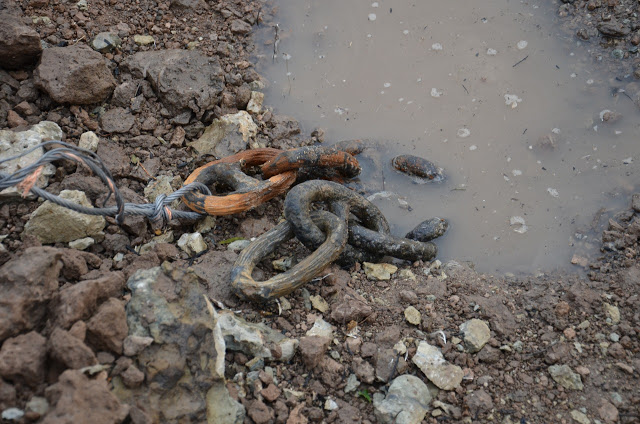 Encontraron restos de cadenas que serían del Combate de Obligado