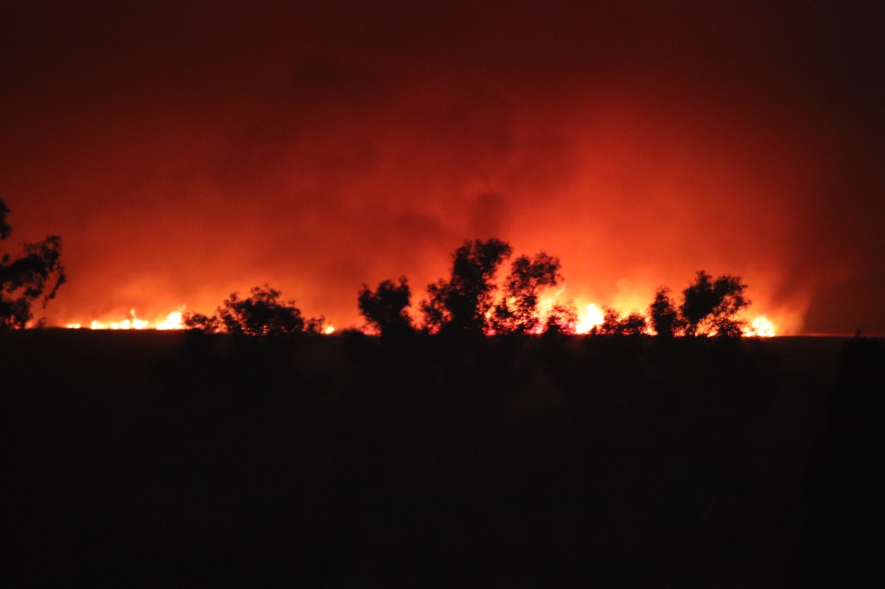 Fuego en la Isla: Imágenes de las llamas