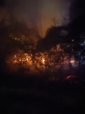 Bomberos: Se incendió una cabaña del balneario municipal Sur