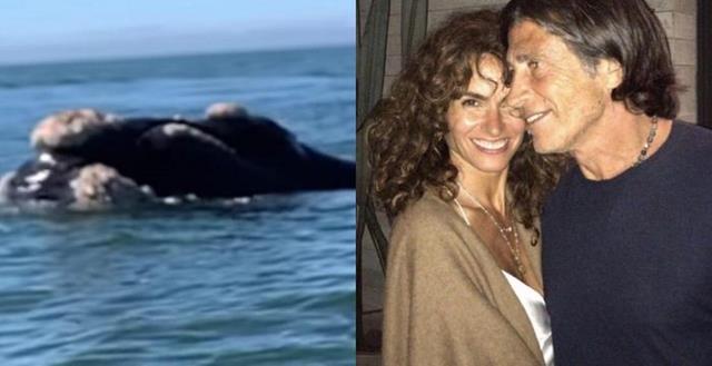 Polémica con Nicolás Repetto: se filmó junto a ballenas en José Ignacio y en las redes lo cuestionaron