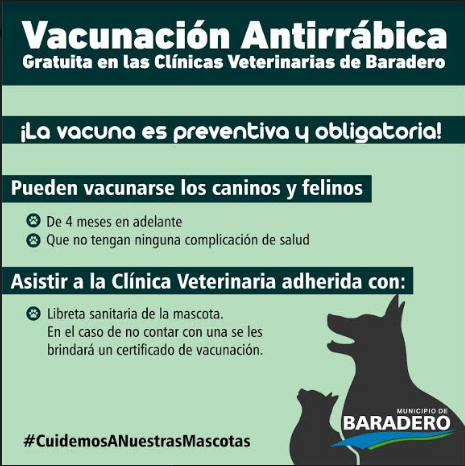Campaña de vacunación antirrábica gratuita