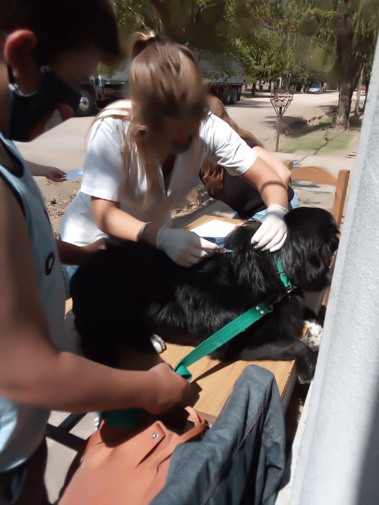 Se realizó una jornada de vacunación antirrábica en Ireneo Portela