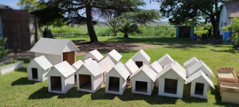 Personas privadas de la libertad elaboraron cuchas y camas para un refugio de perros