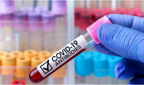 Coronavirus: un nuevo estudio determinó que los anticuerpos durarían cinco meses