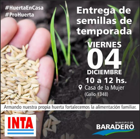 #HuertaEnCasa | Entrega de semillas de estación en la Casa de la Mujer