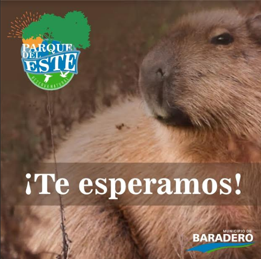 Está abierta la Reserva Natural Urbana “Parque del Este” para visitas