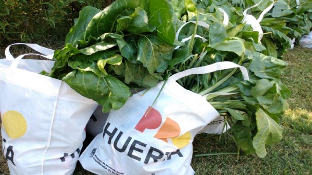 El martes habrá venta de verduras en la Plaza Mitre