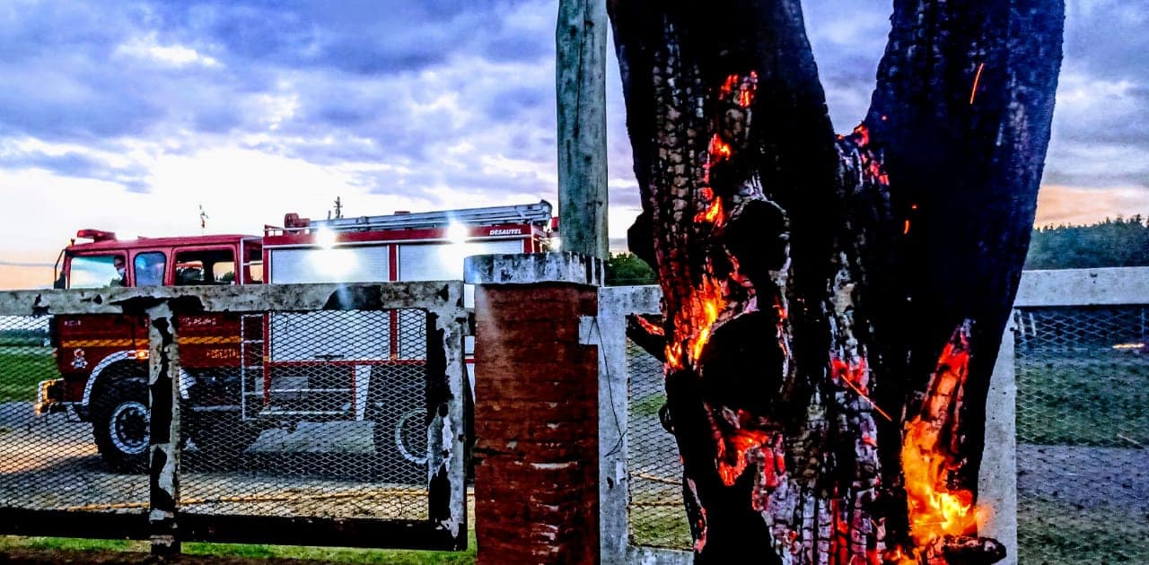 Bomberos: Incendio de pinos por corte de cables de media tensión