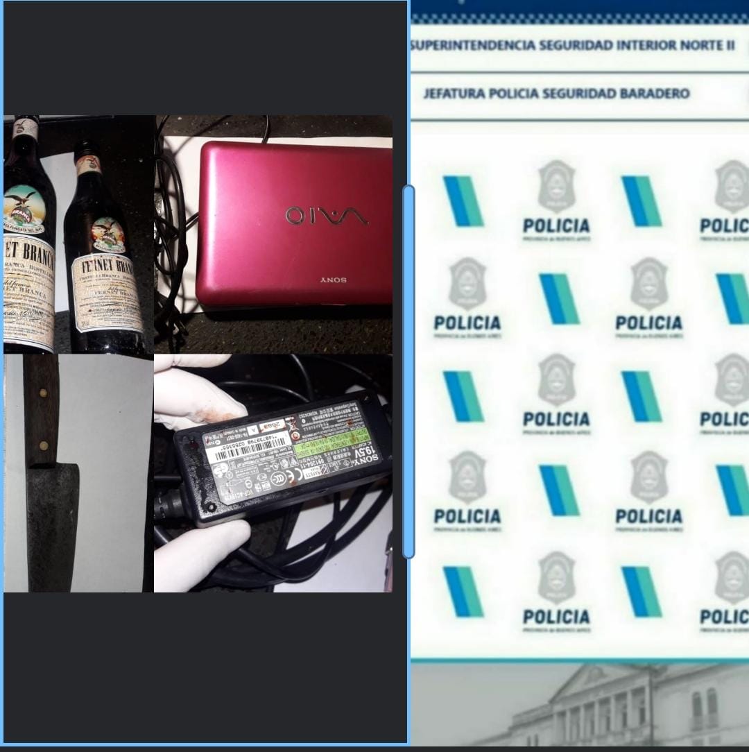 Policiales: Dos menores aprehendidos por el robo a un comercio