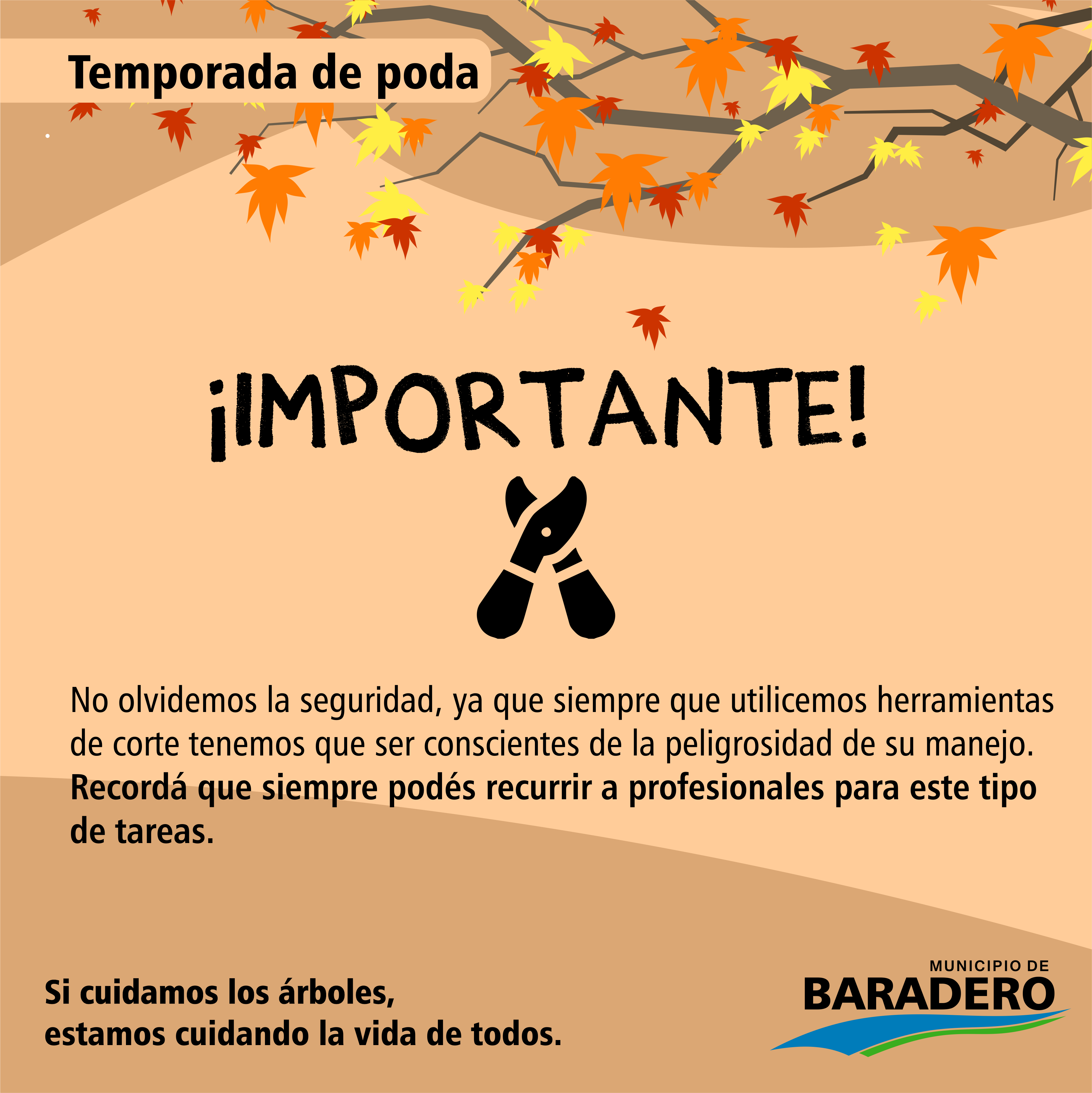 #Ambiente | Inició la temporada de poda: si cuidamos los árboles estamos cuidando la vida de todos
