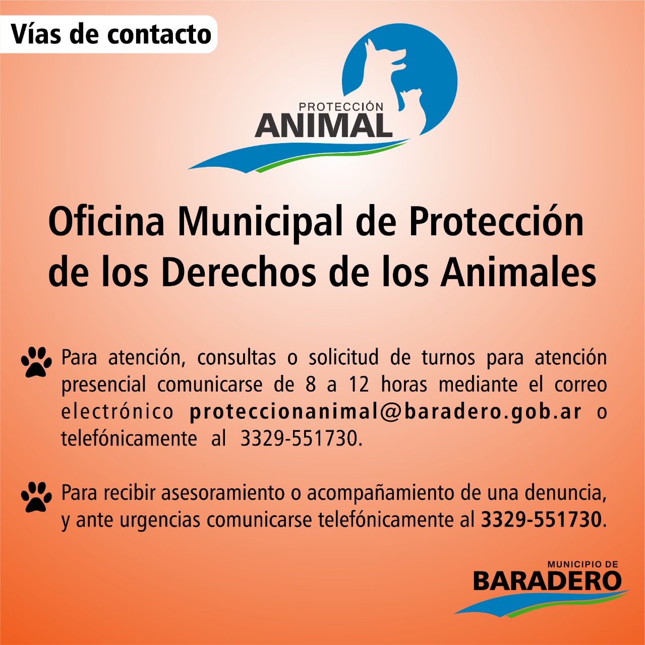 #NoAlMaltratoAnimal | Vías de contacto de la Oficina Municipal de Protección de los Derechos de los Animales para denuncias y consultas