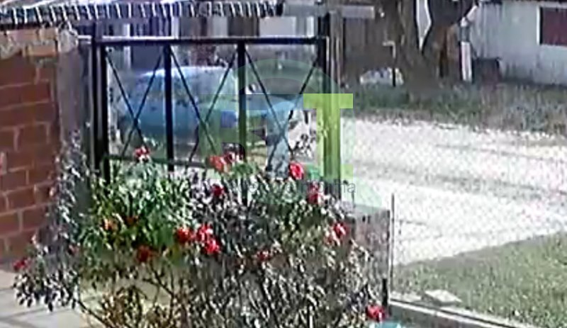 Policiales: una mujer detenida por el robo de celulares
