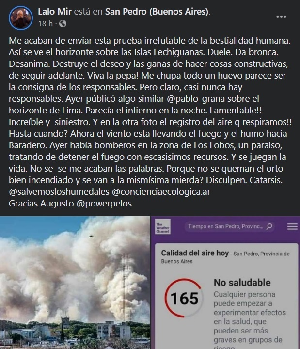 Incendio en las islas: Lalo Mir también descargó su bronca y pidió cuidar los humedales