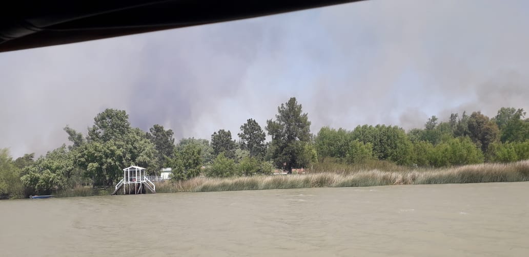 Incendio en el paraje Los Patos: Comunicado de Acción Ambiental Baradero