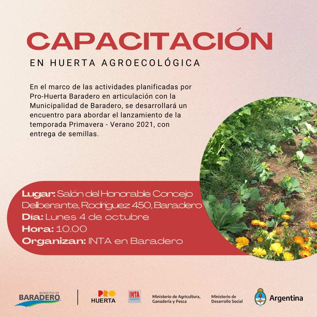 #TrabajamosParaElFuturo | Capacitación en huerta agroecológica