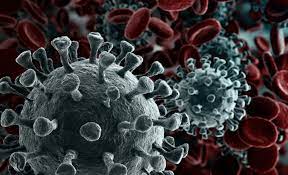 Coronavirus: Después de 24 horas sin activos aparecieron dos nuevos casos