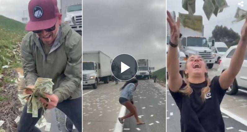 “¡Es una locura, hay dinero por todos lados!”: un furgón blindado perdió casi un millón de dólares y el caos se desató en una autopista de EEUU