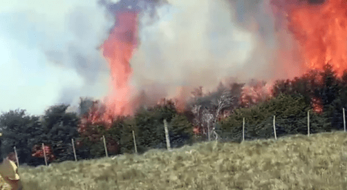 Sequía y altas temperaturas: los incendios arrasan con áreas forestales, ganaderas, agrícolas, yerbales y frutales
