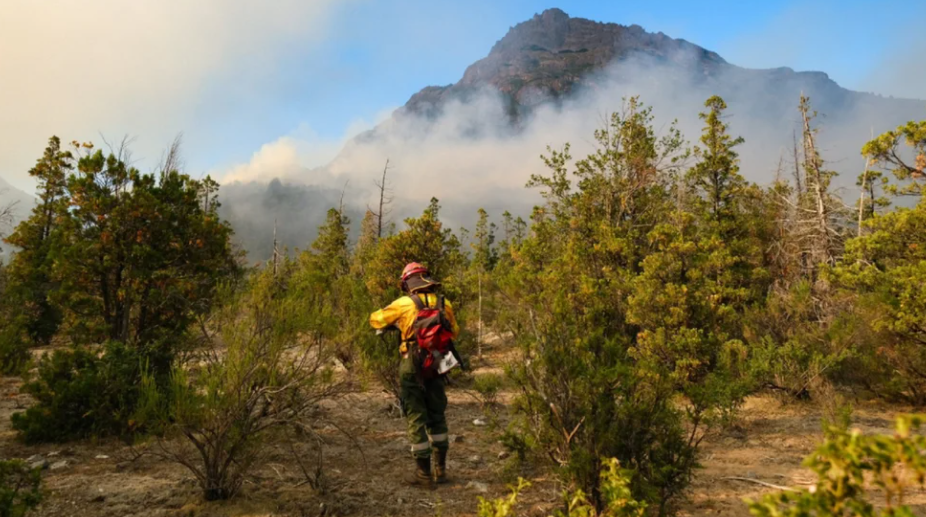 En medio de la ola de calor, nueve provincias tienen incendios forestales activos