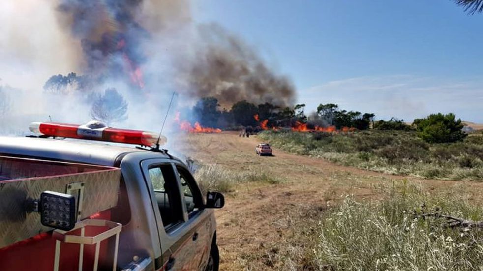 Cómo ayudar a los bomberos a través de la boleta de la tasa Municipal
