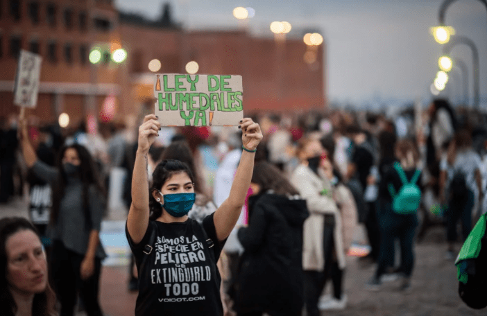 Día Mundial de los Humedales: ecosistemas en peligro que son esenciales para la vida