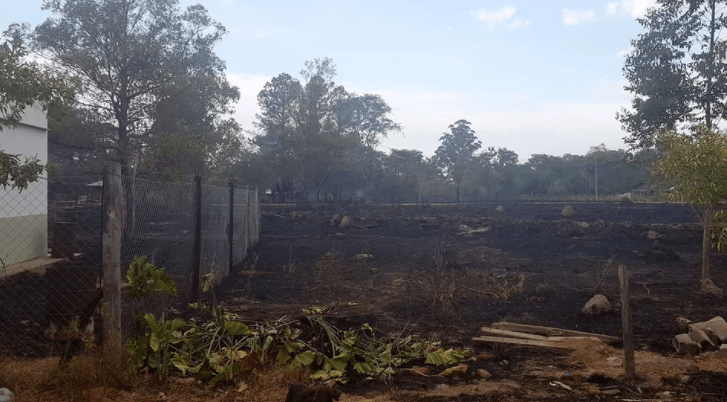 La conmovedora lucha de un maestro contra los incendios en Corrientes: “Logramos salvar la escuelita”