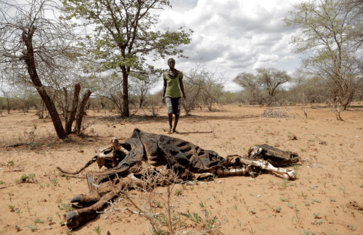 Crisis climática: medio planeta vive en riesgo y algunas zonas serán inhabitables