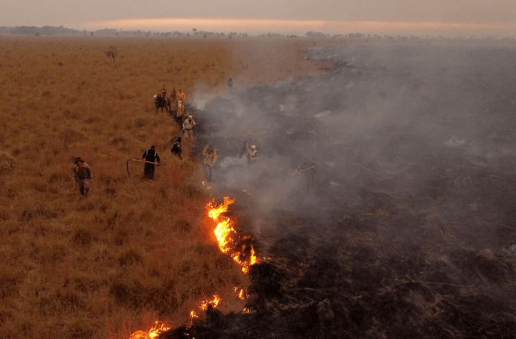 Incendios en Corrientes: hay 15 focos activos y varias familias debieron ser evacuadas