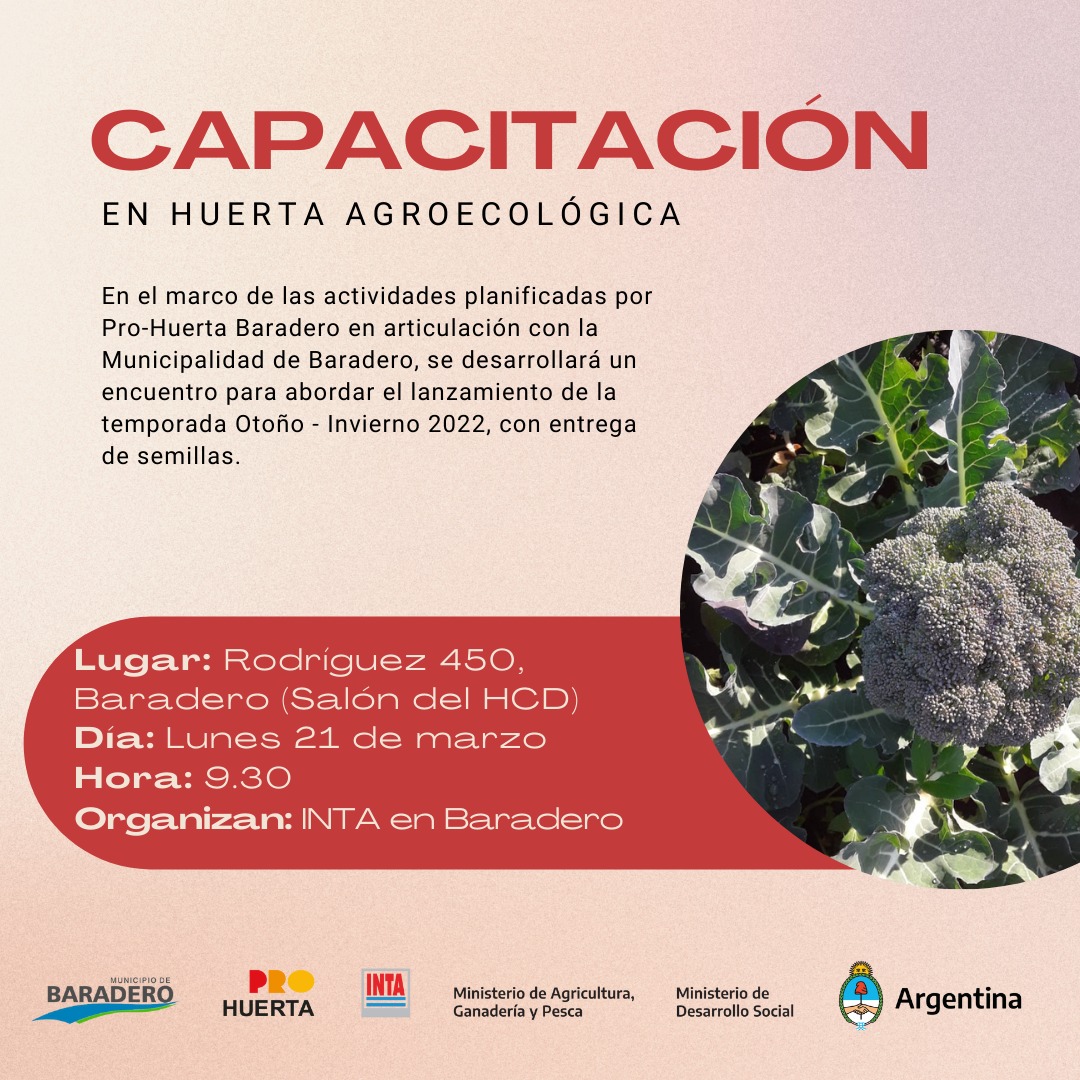 Capacitación en huerta agroecológica