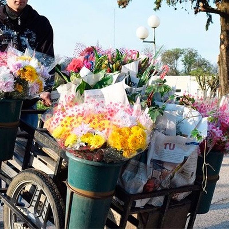 Lo trasladaron al destacamento policial, en Alsina, por vender plantines sin autorización.