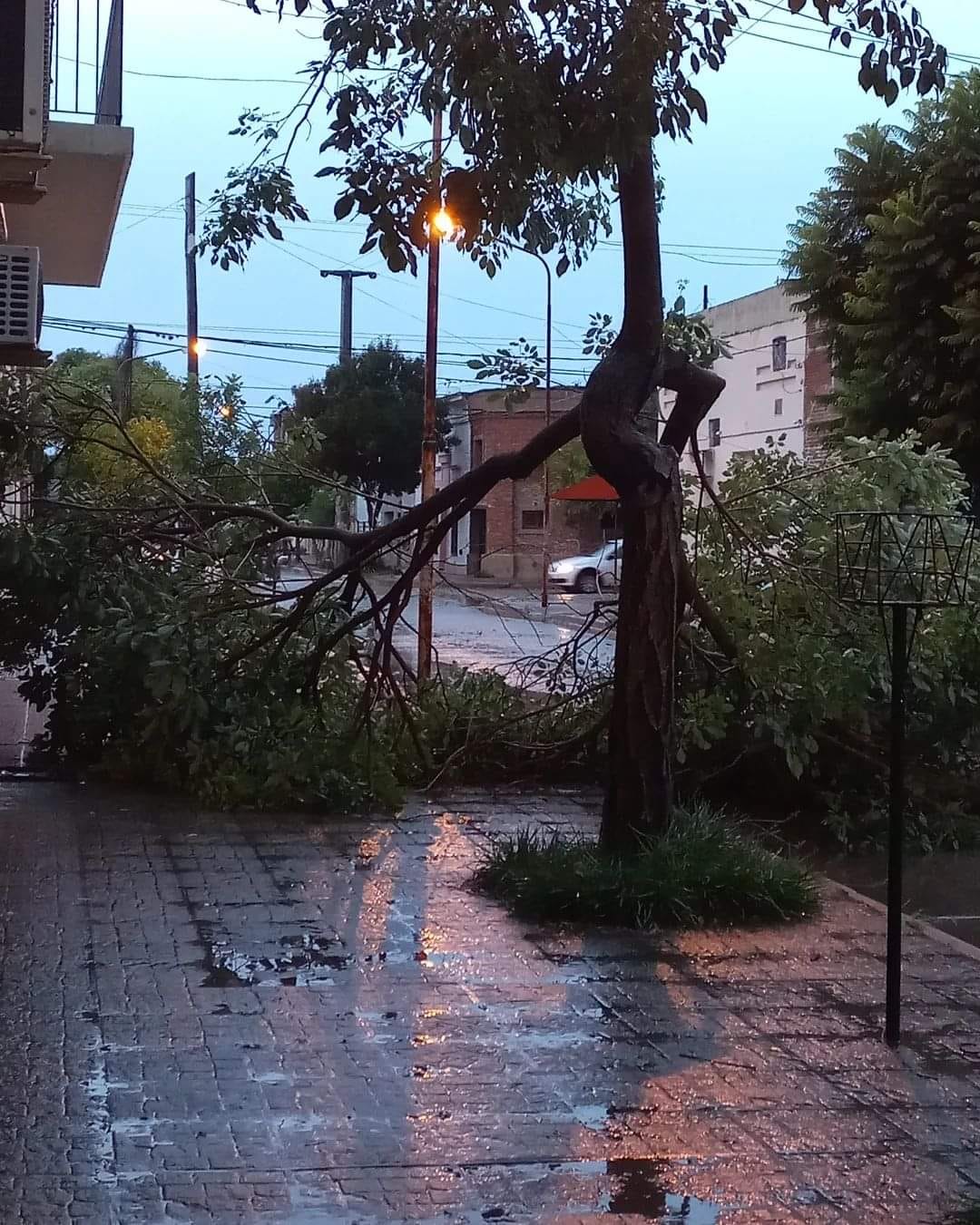 Fuerte temporal de esta madrugada: postes de luz caídos y voladuras de techos. Mas de dos mil usuarios sin luz y clases suspendidas.
