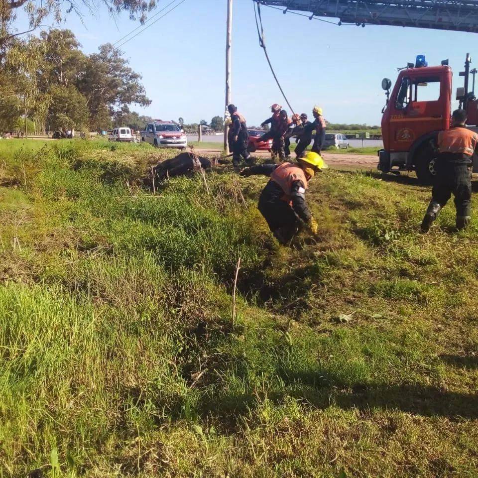 Los Bomberos colaboraron con el rescate de un caballo.