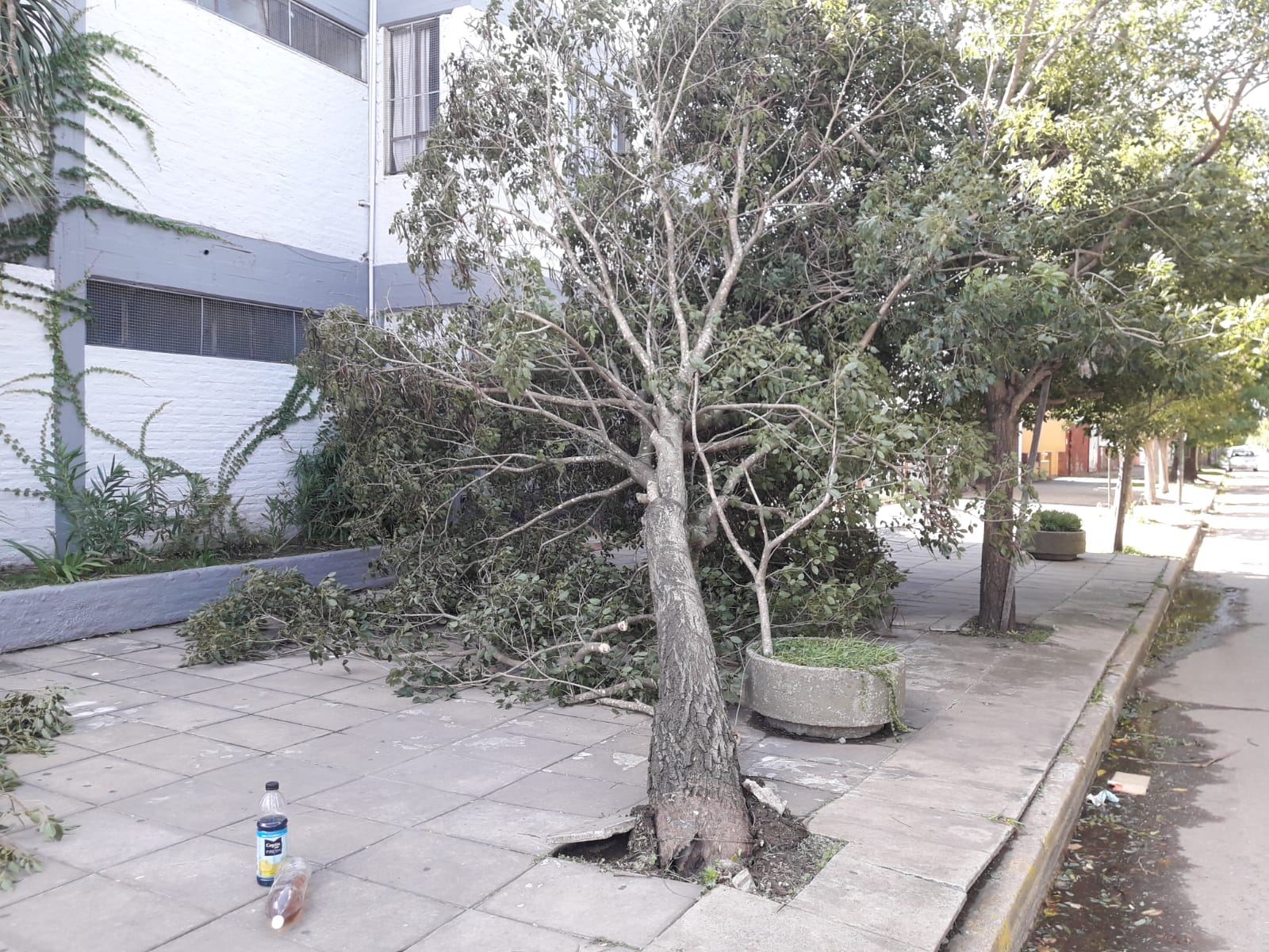 Lo que la tormenta de anoche nos dejó