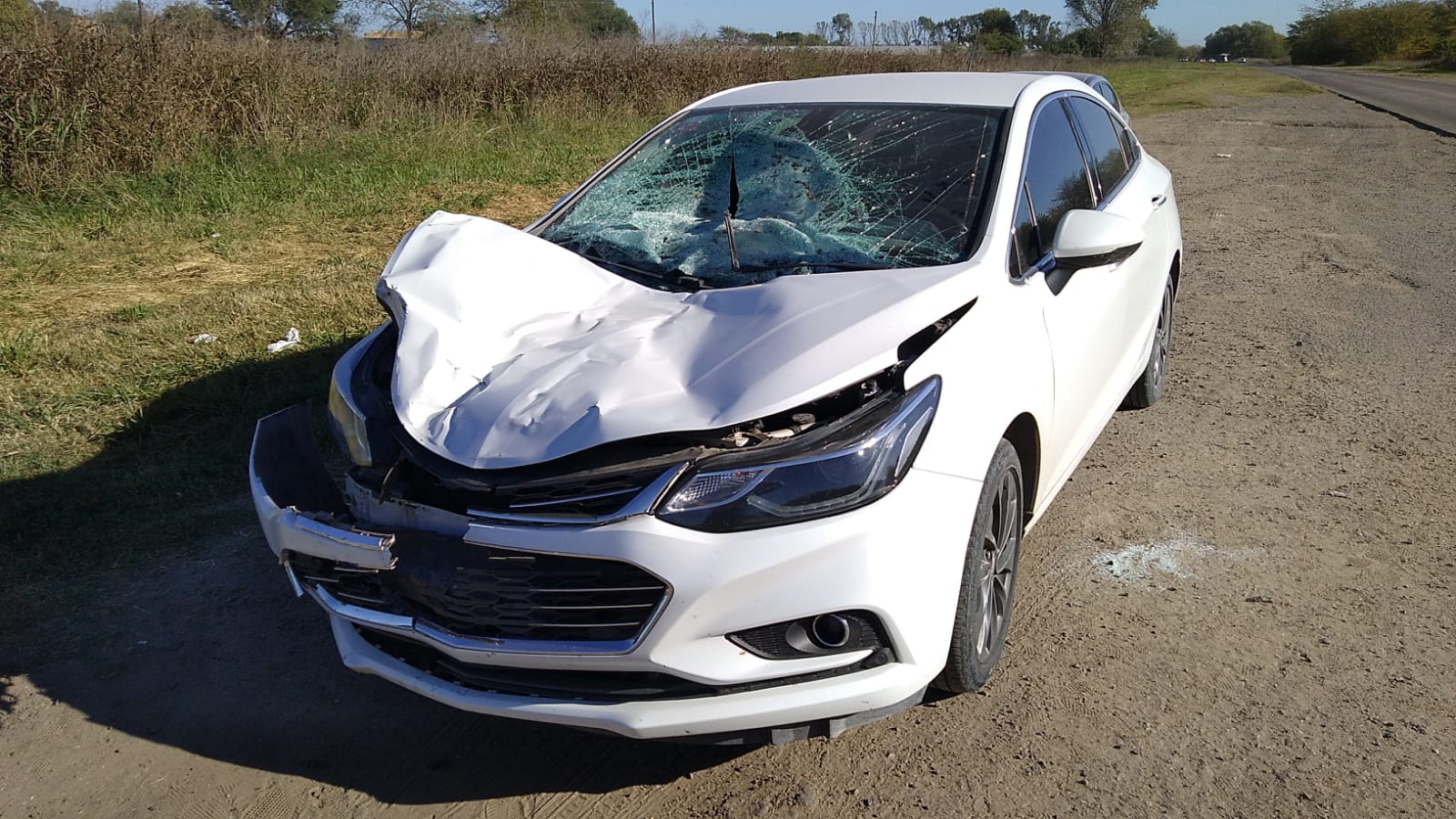 ACCIDENTE EN LA RUTA 41, OTRA VEZ POR ANIMAL SUELTO