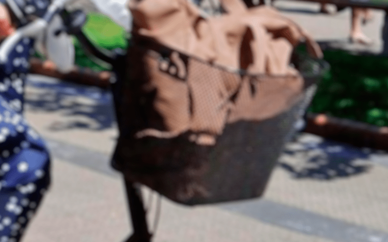 Iba en bici, y le roban la mochila del canasto.