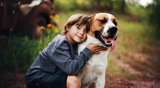 Día del Animal: ¿por qué se celebra hoy en la Argentina?