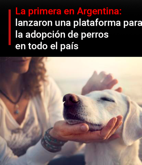La primera plataforma de adopción de animales de la Argentina ya está disponible