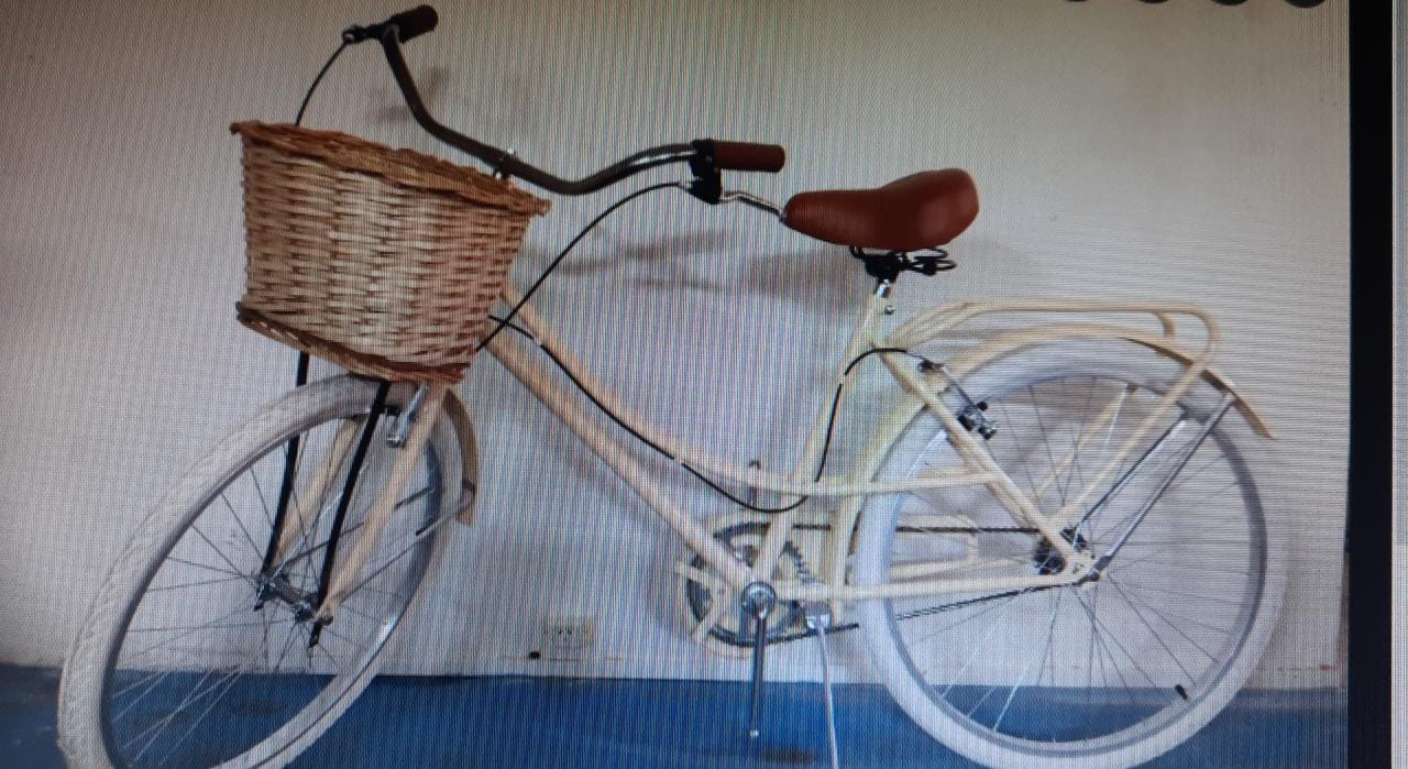 Robo de Bicicleta