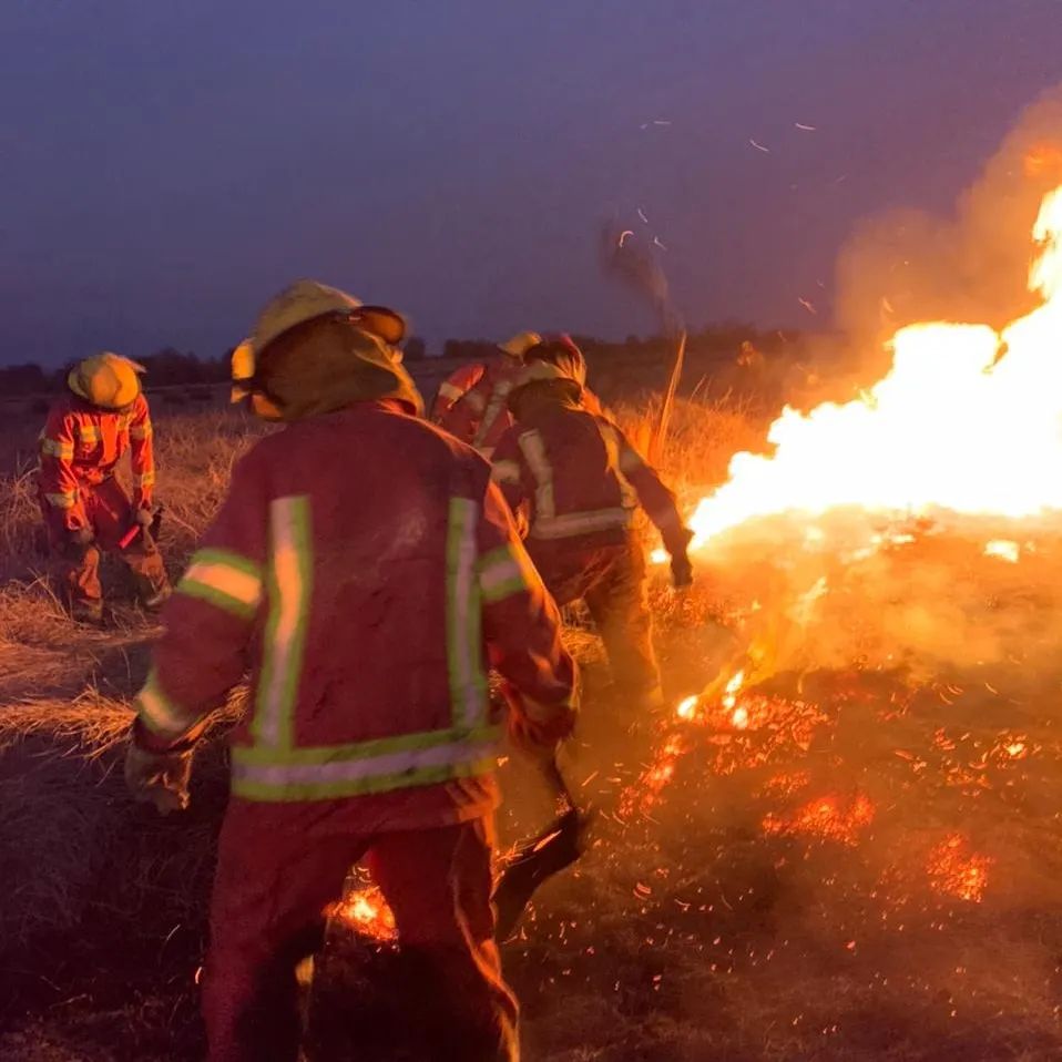 Fotos compartidas por los Bomberos sobre el Incendio Forestal en Ruta 9