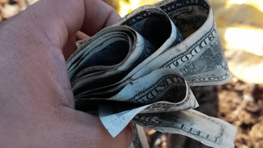 Un “tesoro” entre los residuos: encontraron más de 75 mil dólares desparramados en un basural de Santa Fe
