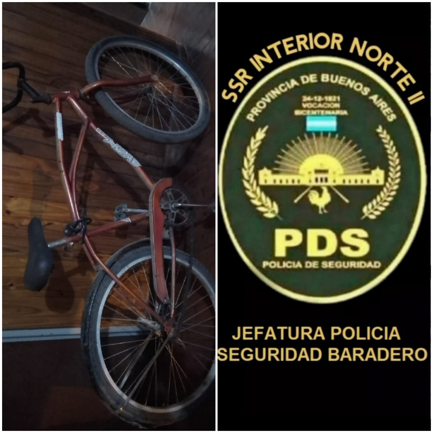 Le intentaron robar la bicicleta y lo siguió