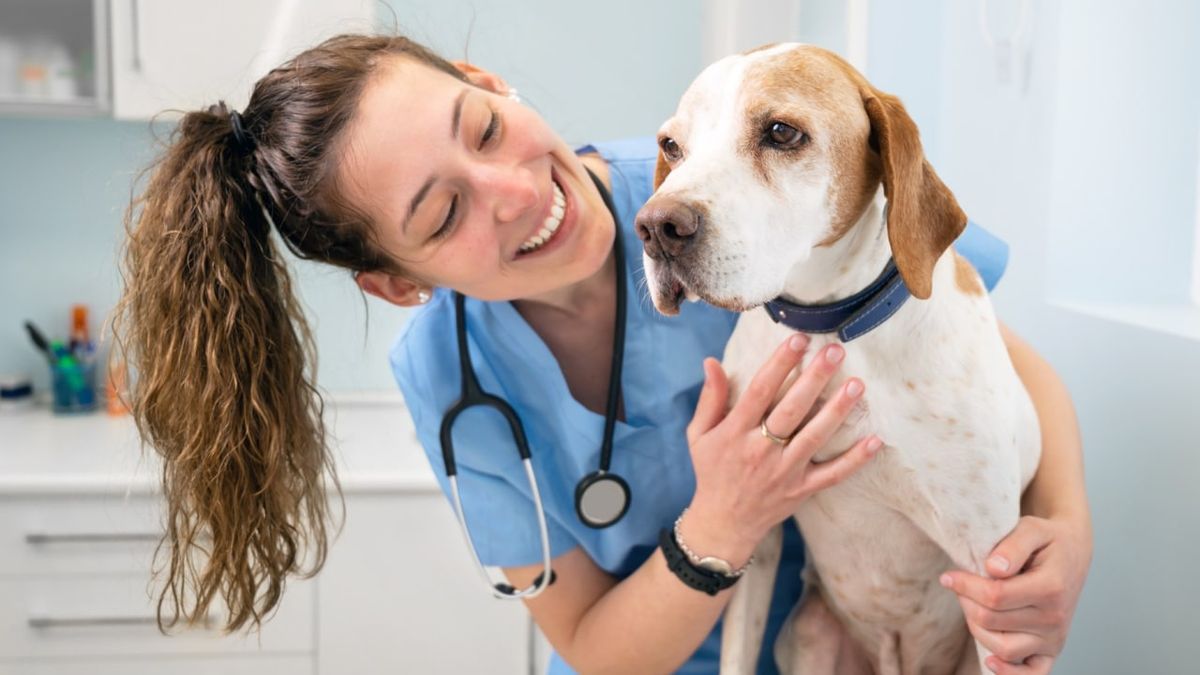 DIA DEL MEDICO VETERINARIO.