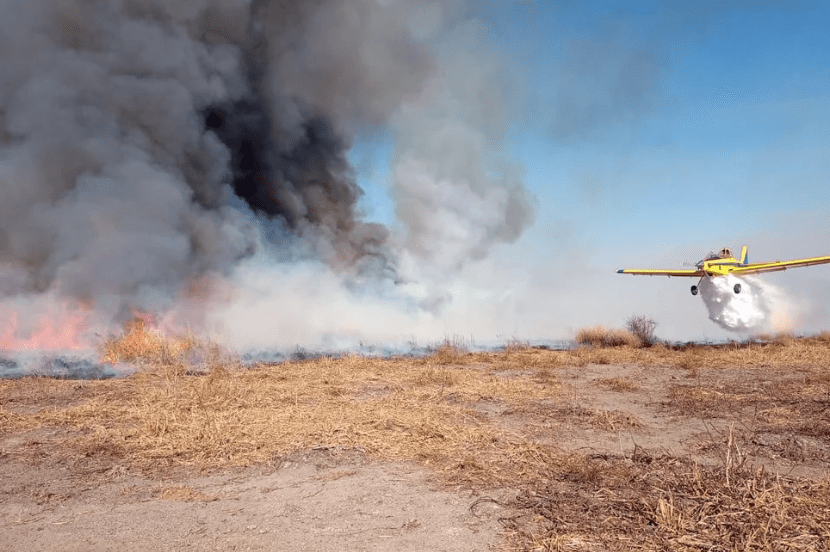 Remolinos de viento complicaron el combate al fuego en el Delta: “No se puede laburar, no se ve nada”