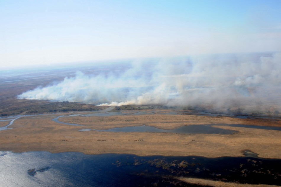 Delta en llamas: focos activos en Gualeguay y Baradero y controlados en Diamante y Victoria
