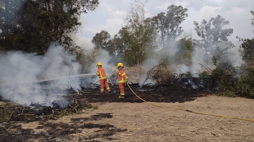 Imágenes del incendio de rastrojo, plantas y ramas secas